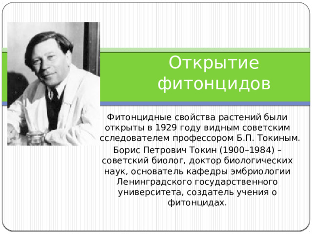 Открытие фитонцидов Фитонцидные свойства растений были открыты в 1929 году видным советским исследователем профессором Б.П. Токиным. Борис Петрович Токин (1900–1984) – советский биолог, доктор биологических наук, основатель кафедры эмбриологии Ленинградского государственного университета, создатель учения о фитонцидах. 