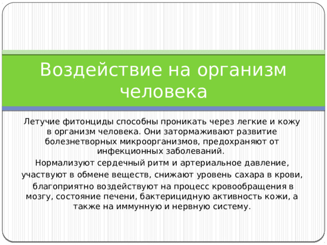 Воздействие на организм человека Летучие фитонциды способны проникать через легкие и кожу в организм человека. Они затормаживают развитие болезнетворных микроорганизмов, предохраняют от инфекционных заболеваний.  Нормализуют сердечный ритм и артериальное давление, участвуют в обмене веществ, снижают уровень сахара в крови,  благоприятно воздействуют на процесс кровообращения в мозгу, состояние печени, бактерицидную активность кожи, а также на иммунную и нервную систему. 