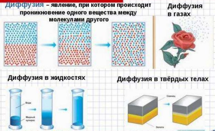 Для всех проектов характерна способность к диффузии