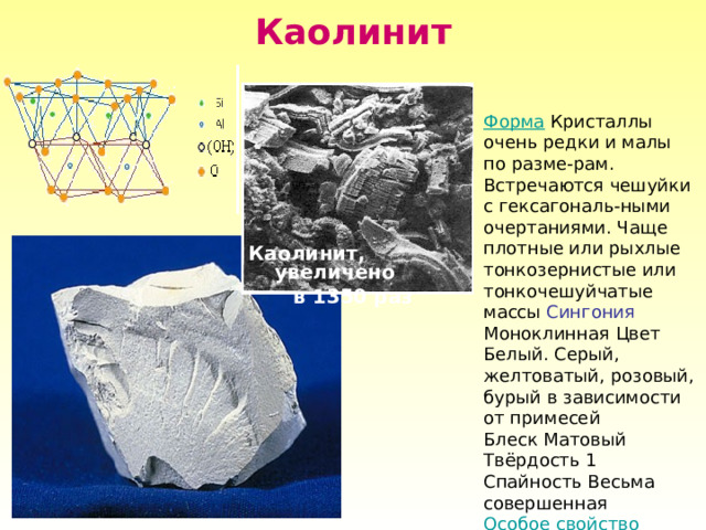 Каолинит Форма Кристаллы очень редки и малы по разме-рам. Встречаются чешуйки с гексагональ-ными очертаниями. Чаще плотные или рыхлые тонкозернистые или тонкочешуйчатые массы Сингония Моноклинная Цвет Белый. Серый, желтоватый, розовый, бурый в зависимости от примесей Блеск Матовый Твёрдость 1 Спайность Весьма совершенная Особое свойство Жирен на ощупь Каолинит, увеличено в 1350 раз 