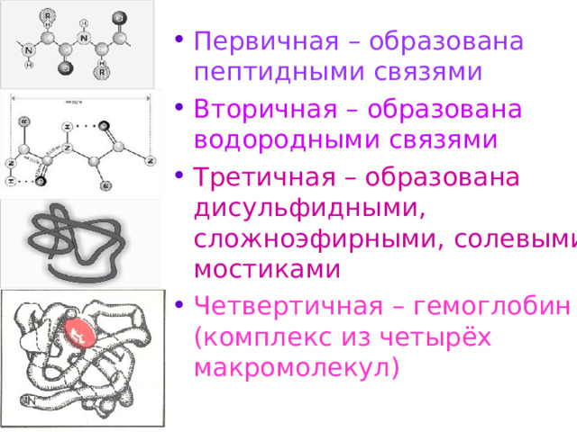 Первичная – образована пептидными связями Вторичная – образована водородными связями Третичная – образована дисульфидными,  сложноэфирными, солевыми мостиками  Четвертичная – гемоглобин (комплекс из четырёх макромолекул) 