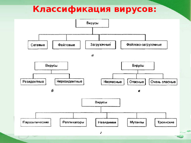 Классификация вирусов:  