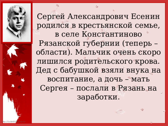 Сергей Александрович Есенин родился в крестьянской семье, в селе Константиново Рязанской губернии (теперь – области). Мальчик очень скоро лишился родительского крова. Дед с бабушкой взяли внука на воспитание, а дочь – мать Сергея – послали в Рязань на заработки. 