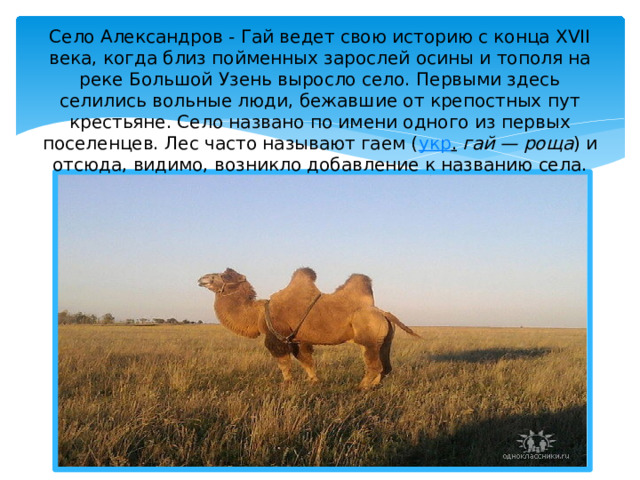 Село Александров - Гай ведет свою историю с конца XVII века, когда близ пойменных зарослей осины и тополя на реке Большой Узень выросло село. Первыми здесь селились вольные люди, бежавшие от крепостных пут крестьяне. Село названо по имени одного из первых поселенцев. Лес часто называют гаем ( укр .   гай — роща ) и отсюда, видимо, возникло добавление к названию села. 