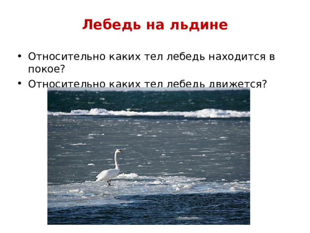 Лебедь на льдине Относительно каких тел лебедь находится в покое? Относительно каких тел лебедь движется?  