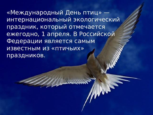 «Международный День птиц» — интернациональный экологический праздник, который отмечается ежегодно, 1 апреля. В Российской Федерации является самым известным из «птичьих» праздников. 