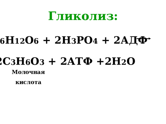 Гликолиз: С 6 Н 12 О 6 + 2Н 3 РО 4 + 2АДФ 2С 3 Н 6 О 3 + 2АТФ +2Н 2 О Молочная кислота 