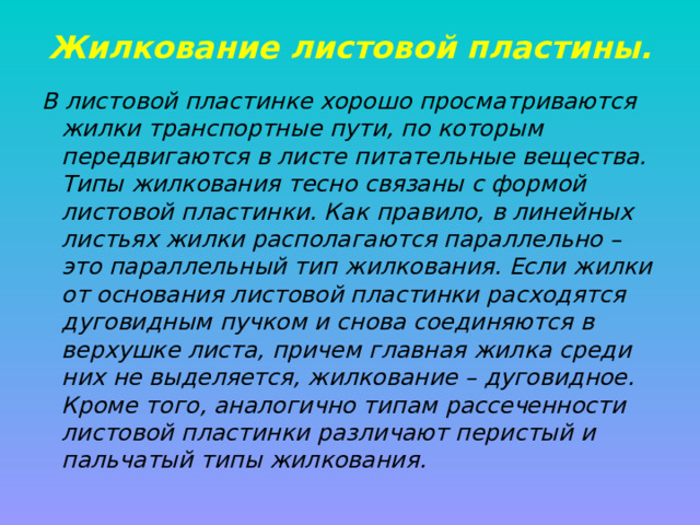 Жилкование листовой пластины.   В листовой пластинке хорошо просматриваются жилки транспортные пути, по которым передвигаются в листе питательные вещества. Типы жилкования тесно связаны с формой листовой пластинки. Как правило, в линейных листьях жилки располагаются параллельно – это параллельный тип жилкования. Если жилки от основания листовой пластинки расходятся дуговидным пучком и снова соединяются в верхушке листа, причем главная жилка среди них не выделяется, жилкование – дуговидное. Кроме того, аналогично типам рассеченности листовой пластинки различают перистый и пальчатый типы жилкования.    