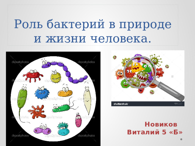 Роль бактерий в природе и жизни человека