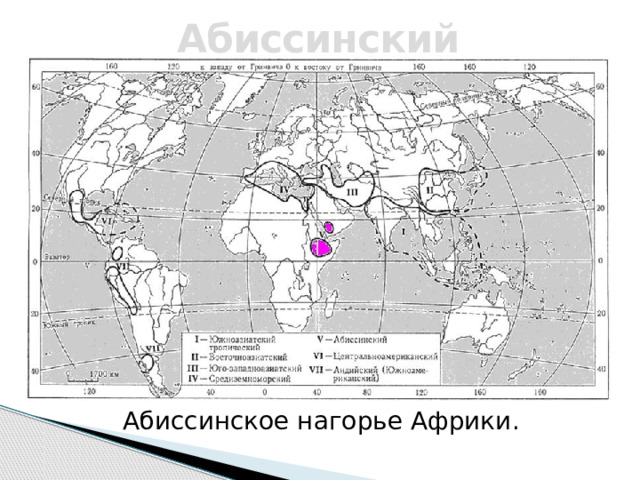 Абиссинский Абиссинское нагорье Африки.  