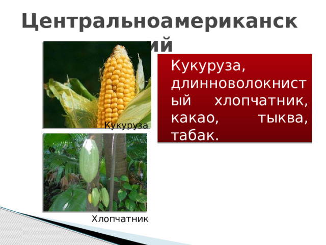 Центральноамериканский    Кукуруза, длинноволокнистый хлопчатник, какао, тыква, табак. Кукуруза  Хлопчатник  