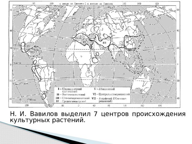 Сахарный тростник центр происхождения культурных растений