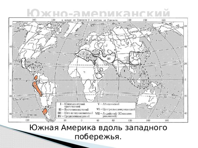Южно-американский Южная Америка вдоль западного побережья. 