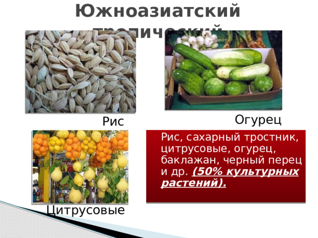 Южноазиатский тропический Огурец Рис  Рис, сахарный тростник, цитрусовые, огурец, баклажан, черный перец и др. (50% культурных растений). Цитрусовые 