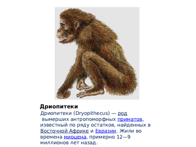 " Эволюция человека"
