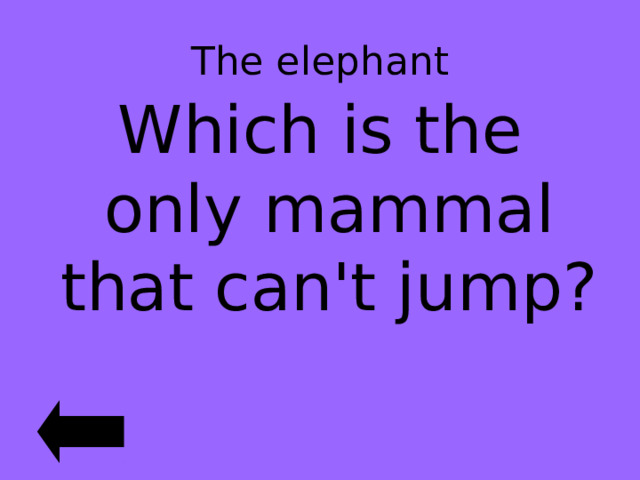 The elephant Which is the only mammal that can't jump? 