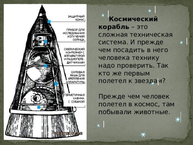  Космический корабль – это сложная техническая система. И прежде чем посадить в него человека технику надо проверить. Так кто же первым полетел к звездам? Прежде чем человек полетел в космос, там побывали животные. 