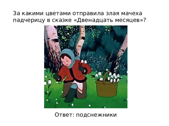 За какими цветами отправила злая мачеха падчерицу в сказке «Двенадцать месяцев»? Ответ: подснежники 