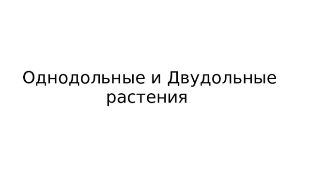 Однодольные и Двудольные растения 
