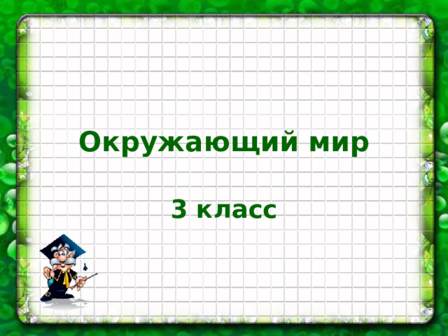 Презентация на тему по окружающему миру 3 класс