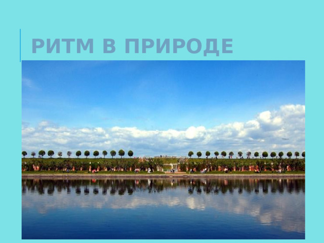 РИТМ В ПРИРОДЕ 