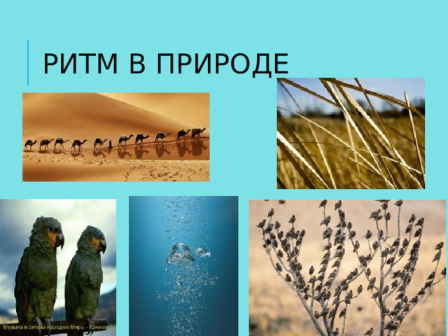 РИТМ В ПРИРОДЕ 
