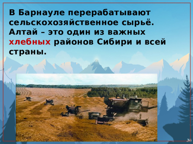 В Барнауле перерабатывают сельскохозяйственное сырьё. Алтай – это один из важных хлебных районов Сибири и всей страны. 