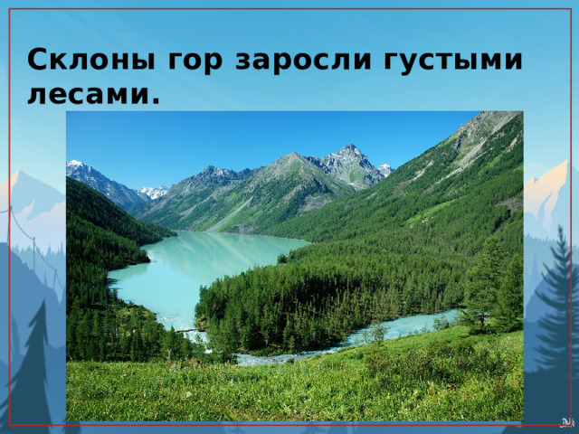 Склоны гор заросли густыми лесами. 
