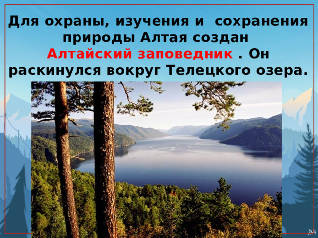 Для охраны, изучения и сохранения природы Алтая создан  Алтайский заповедник . Он раскинулся вокруг Телецкого озера. 