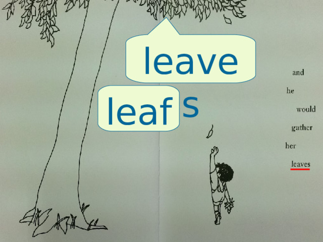 leaves leaf 