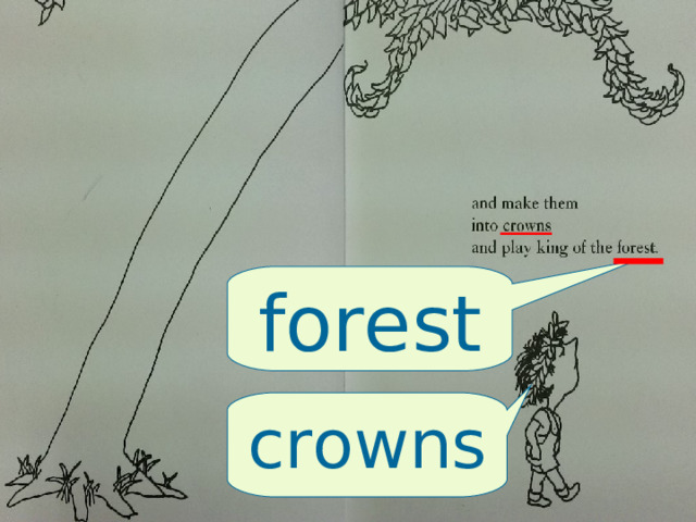 forest crowns 