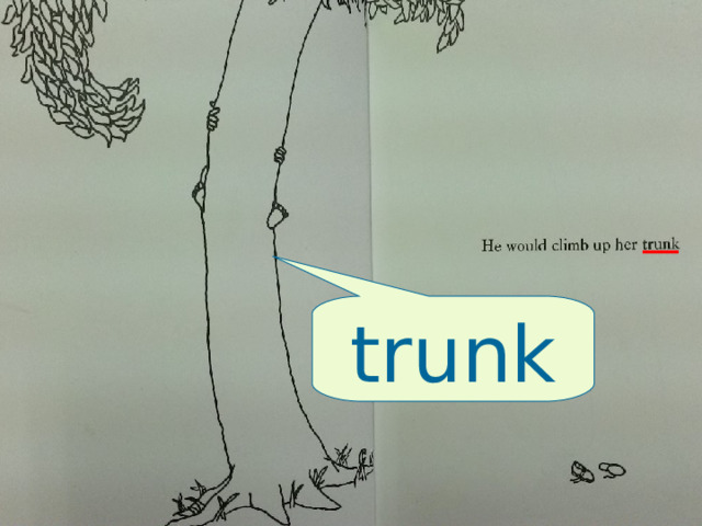 trunk 