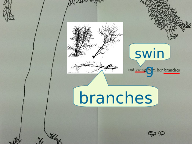 swing branches 