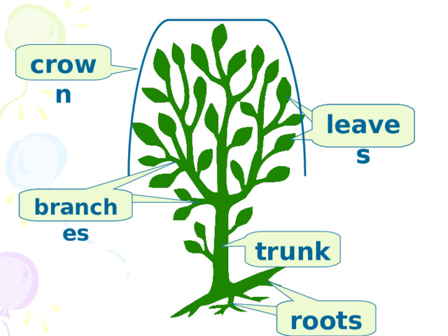 crown leaves leaves leaves branches trunk roots roots 