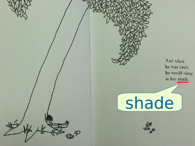 shade 