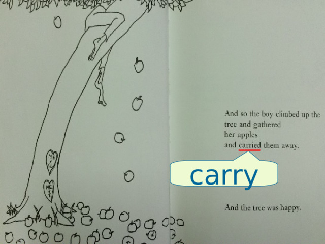 carry 
