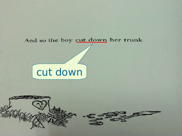 cut down 