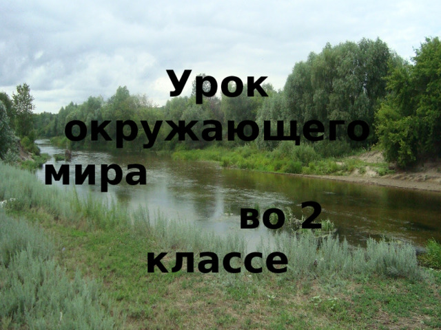 Урок окружающего мира во 2 классе 