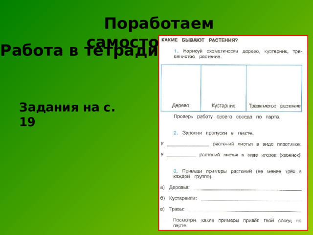 Поработаем самостоятельно Работа  в тетради Задания на с. 19 