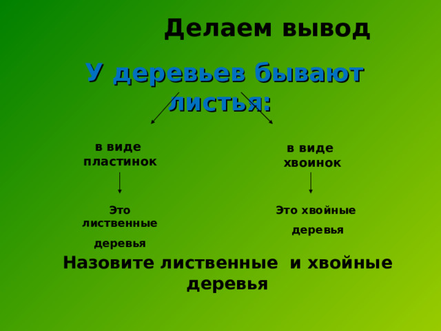  Делаем вывод У деревьев бывают листья: в виде пластинок в виде  хвоинок Это лиственные деревья Это хвойные деревья Назовите лиственные и хвойные деревья 