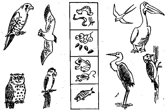 Задания в картинках для дошкольников по теме перелетные птицы
