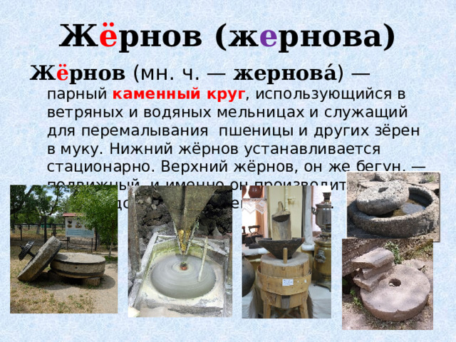 Ж ё рнов (ж е рнова)   Ж ё рнов (мн. ч. — жернова́ ) — парный каменный круг , использующийся в ветряных и водяных мельницах и служащий для перемалывания пшеницы и других зёрен в муку. Нижний жёрнов устанавливается стационарно. Верхний жёрнов, он же бегун, — подвижный, и именно он производит непосредственное перемалывание. 