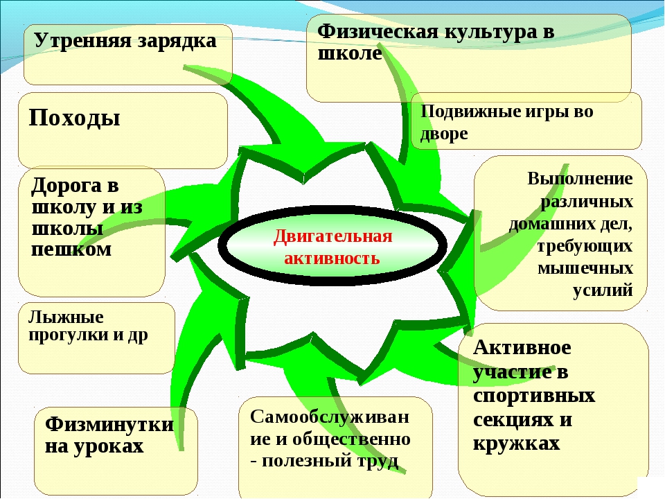 Диаграмма взаимосвязи здоровья и образа жизни