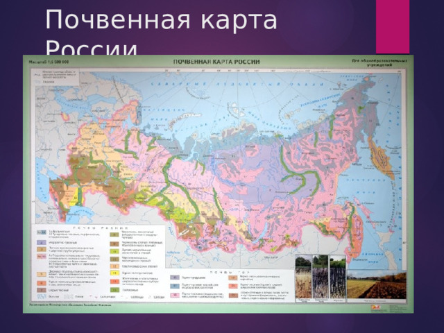 Почвенная карта России 