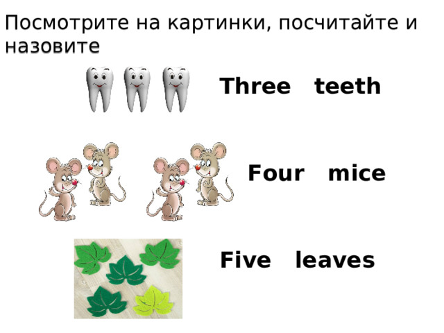 Посмотрите на картинки, посчитайте и назовите Three  teeth Four  mice Five  leaves 