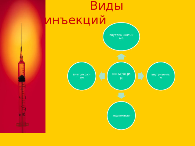  Виды инъекций внутримышечные инъекции внутривенные внутрикожные подкожные 