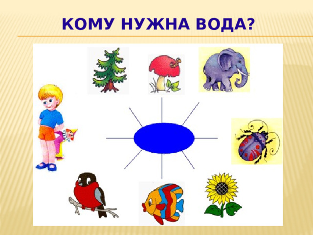 Кому нужна вода средняя группа