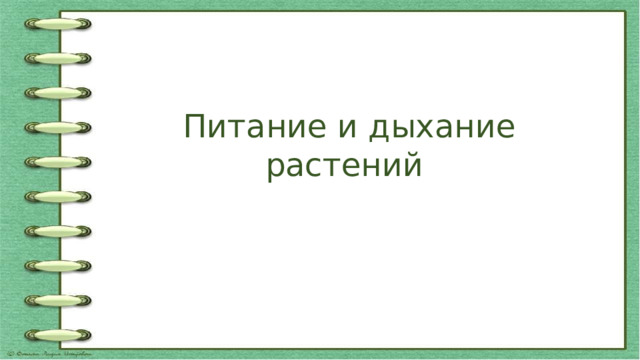 Питание и дыхание растений 