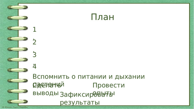 План 1. 2. 3. 4. Вспомнить о питании и дыхании растений Провести опыты Сделать выводы Зафиксировать результаты 