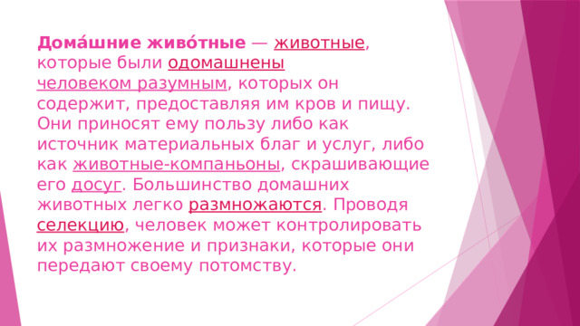 Как сделать компаньона животного обливион